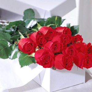 One dozen gorgeous long-stem red roses boxed or wrapped and ready for the recipient to arrange in his or her own vase. Florist delivery in the USA and Canada.