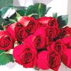 FTD One Dozen Red Roses - Image 2