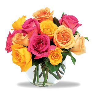 Send velvety  roses in an assortment of pretty colors