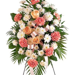 A feminine sympathy spray of pink carnations and white chrysanthemums accented with delicate pink or peach roses. Appropriate for wakes