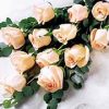 please indicate color preference. Florist delivery in the USA and Canada.
