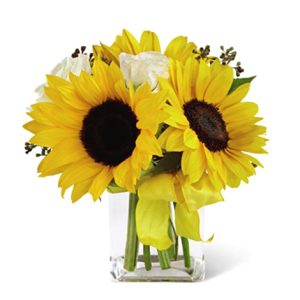 Let the sun shine in with this cheery combination of bright yellow sunflowers