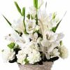 alstroemeria