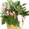too. Florist delivery in the USA and Canada.