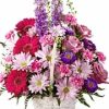 Gerberas