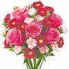 miniature carnations