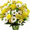daisies