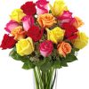 in striking assorted colors