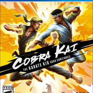 Cobra Kai: The Karate Kid Saga Continues