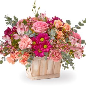 An delightful array of pretty pink