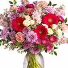 Gerbera daisies