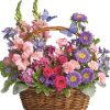 such as spray roses