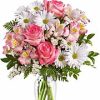white daisy poms
