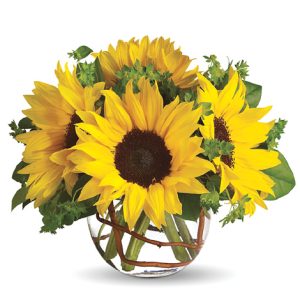 Brighten any room or occasion with these sunny sunflowers and fresh greens nestled in a clear glass bowl or vase. Approximately 8 to 10 inches in height. Available in most areas from late May through early November. Local florist delivery in the USA and Canada.