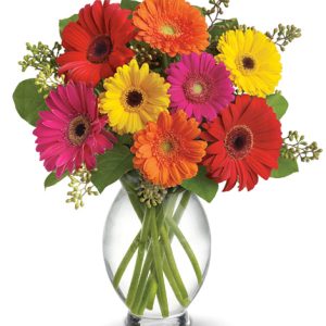 Send a blast of color and cheer with big