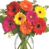 bold Gerbera daisies designed with fresh foliage and delivered in a glass vase. Full of color