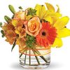 Gerberas