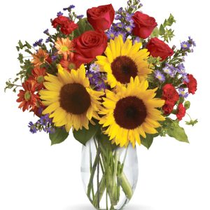 Send a gift of pure Autumn happiness with this impressive bouquet of fresh sunflowers