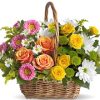 spray roses
