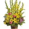 Send comfort and support with this uplifting basket of fresh garden blooms. Featured flowers include Asiatic lilies