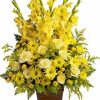 gladioli