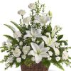 carnations