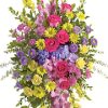 carnations