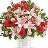 carnations