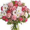 alstroemeria