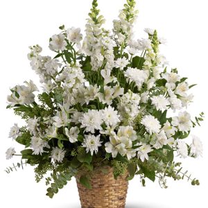 Send a message of sympathy and caring with this popular selection of pure white blossoms designed in a natural basket. Featured flowers include spray chrysanthemums