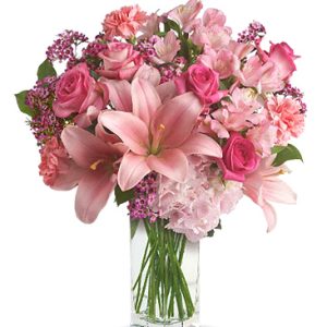 Wow someone with this gorgeous combination of lovely hydrangea