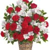 carnations