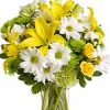 lilies