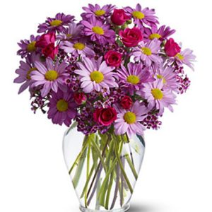 A delightful assortment of fresh daisy poms and more in a pretty purple