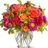 asters