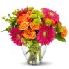 Brighten someone's spirits with this eye-catching assortment of Gerbera daisies