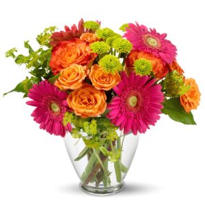 Brighten someone's spirits with this eye-catching assortment of Gerbera daisies