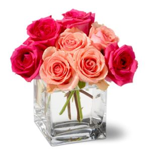 Send a message of love or appreciation with this charming bouquet of pink rose blossoms clustered in a petite glass cube or vase. Delightful! Florist delivery in the USA and Canada.
