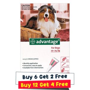 Advantage Large Dogs 21-55lbs (Red) 12 Doses + 4 Free