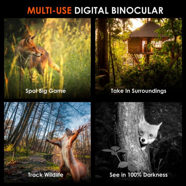 Rexing B1 Pro - 4K IR Night Vision Digital Binocular - Image 3