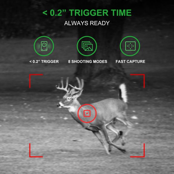 REXING H1 Blackhawk Night Vision Trail Camera Full HD 1920×1080 - Image 4