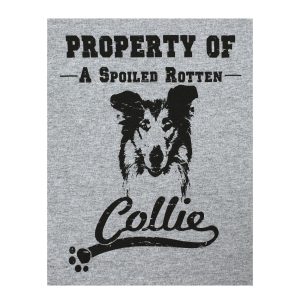 Property Of Dog Breed T-Shirt - Collie - S