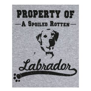 Property Of Dog Breed T-Shirt - Labrador - S