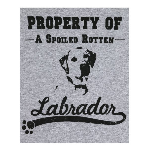 Property Of Dog Breed T-Shirt - Labrador - S