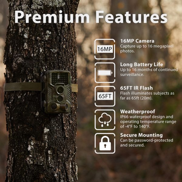 Rexing Woodlens H1 HD 16MP Trail Camera Day & Night - Image 2