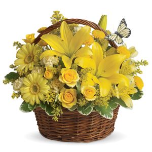 Brighten someone's whole week with this sunny bouquet of garden fresh lilies