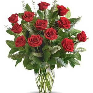 Delight someone you love with twelve gorgeous florist-quality roses