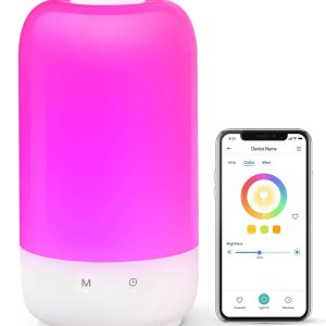 Voice Control: Apple HomeKit