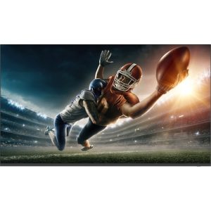 Take your message to the next level with a Sharp Commercial TV display. The Sharp 4P-B43EJ2U - 43-inch Class display conveys your message with the true-to-life precision of 4K Ultra-HD resolution. Built-in tuner support
