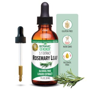 Herbalists' Choice for Brain